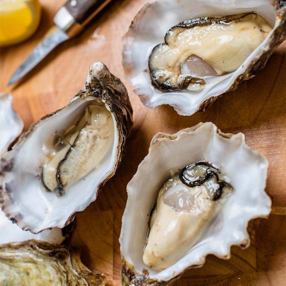 Buy Live Oysters Online Fresh from Achill Island, Ireland 24Hour